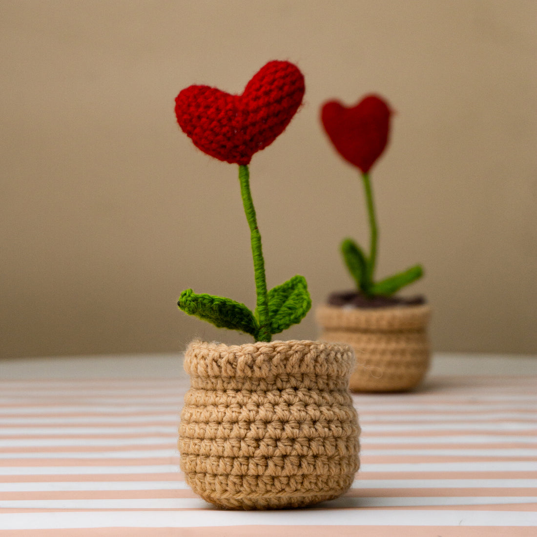 Crochet Heart Plant Pot