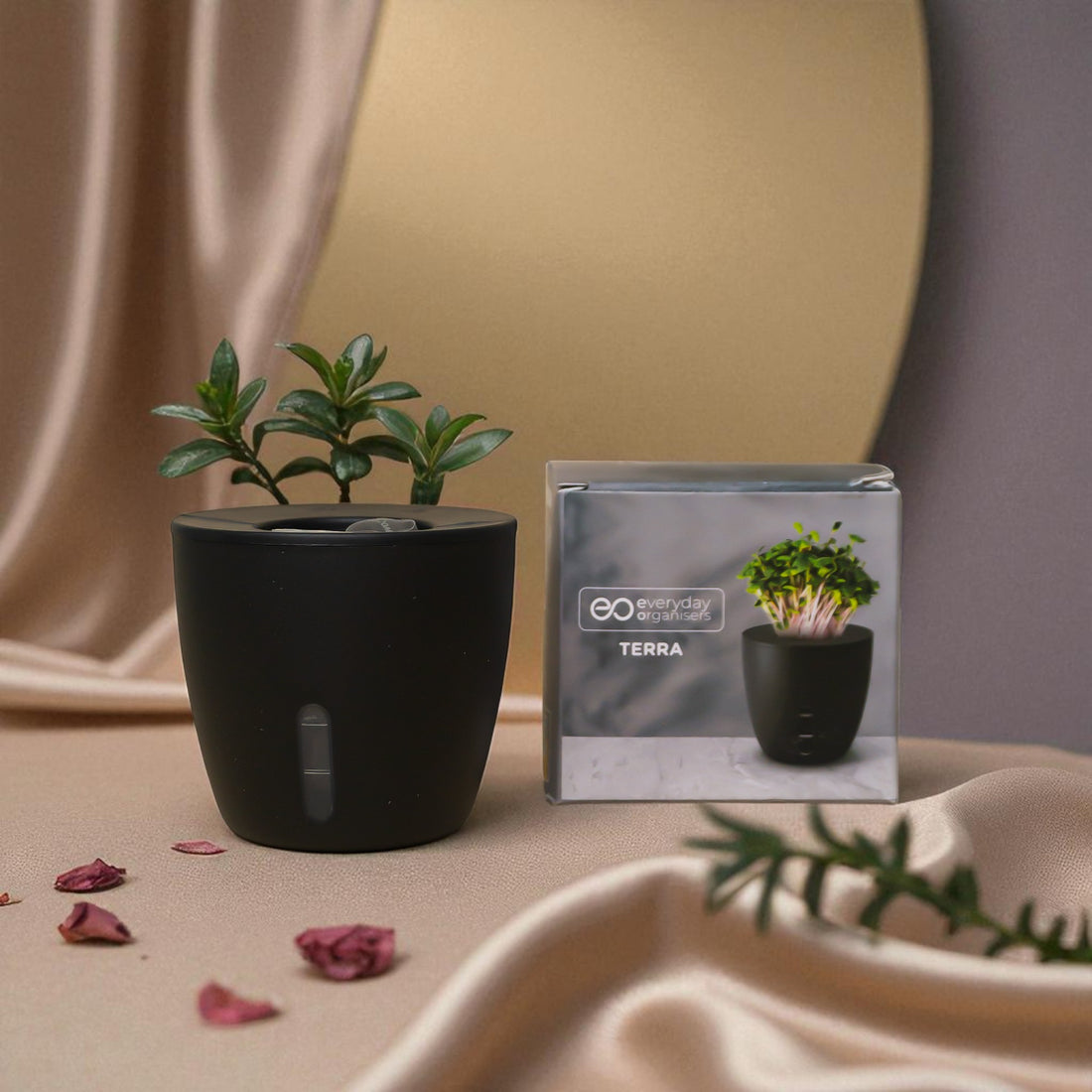 Blend & Bloom Gift Box