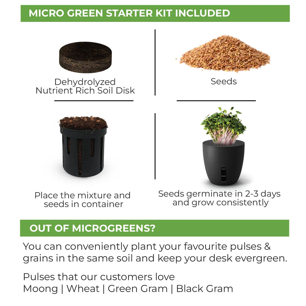 eo Self-Watering Plant Pot Indoor & Outdoor